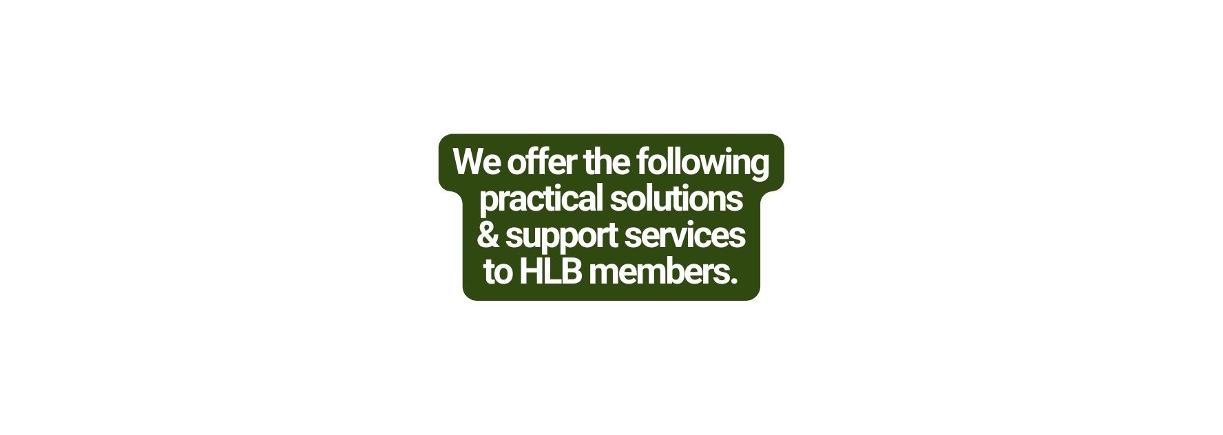 We offer the following practical solutions support services to HLB members